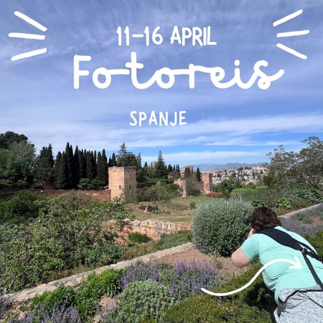 📸 Beleef de magie van Andalusië tijdens deze 6-daagse fotoreis! 🌅

Ga jij mee? Van 11 t/m 16 april naar het adembenemende Andalusië. Dé kans om jouw fotografieskills naar een hoger niveau te tillen én de meest fotogenieke plekken te ontdekken.

✨ Waarom je mee wilt:
	•	Verblijf in een sfeervolle dorpswoning in de prachtige Lecrín Vallei.
	•	Kleine groep (max. 6 personen) voor persoonlijke begeleiding.
	•	Workshops, coaching én minimaal 3 fotobesprekingen.
	•	Toegang tot het Alhambra, rondleiding in een hamdrogerij en zoveel meer!

❗ Let op: Beperkte plekken beschikbaar, dus wacht niet te lang!

👉 Schrijf je vandaag nog in of vraag meer info

🌟 Andalusië wacht op jou en jouw camera. Ben jij erbij?

#reisfotografie #andalusia #fotoreis #fotografie